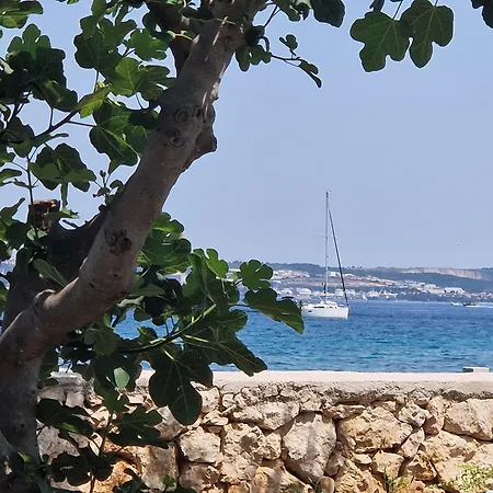 Casa Luma Apartamento Poljana (Ugljan)