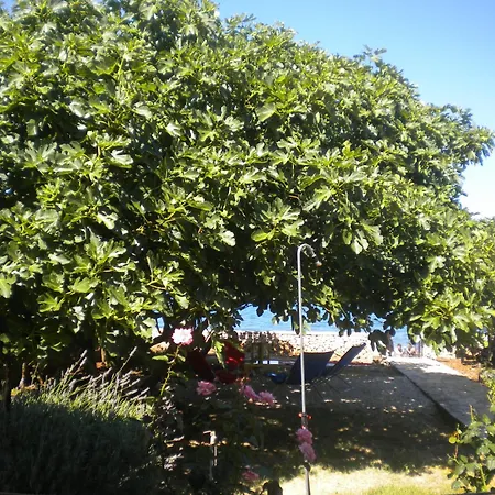 Casa Luma *